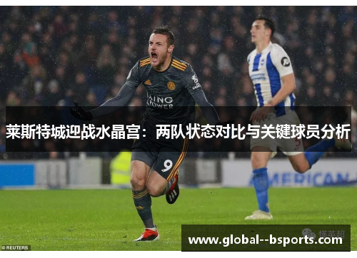 莱斯特城迎战水晶宫：两队状态对比与关键球员分析