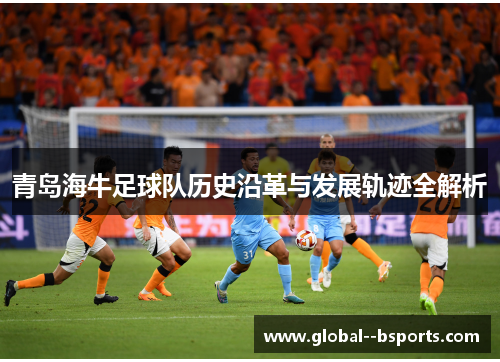 青岛海牛足球队历史沿革与发展轨迹全解析 青岛海牛足球队历史沿革与发展轨迹全解析
