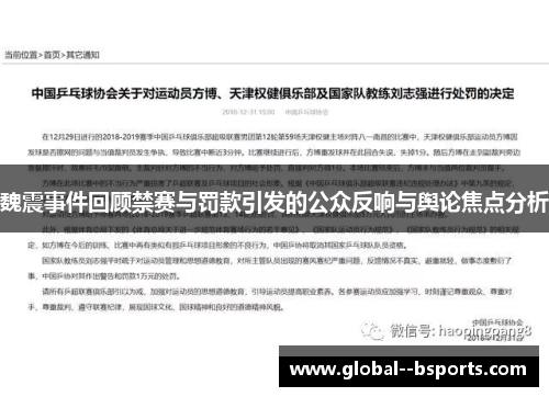 魏震事件回顾禁赛与罚款引发的公众反响与舆论焦点分析